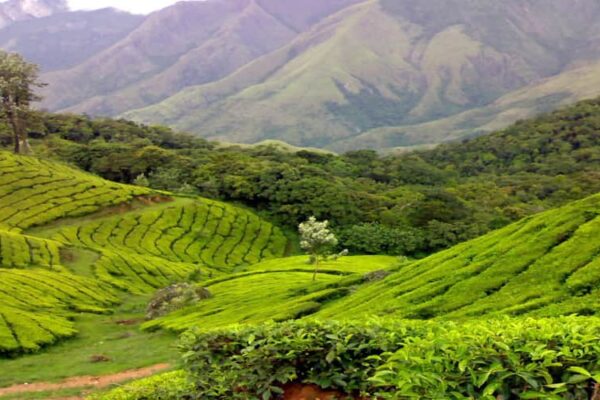 Kerala With Kumrakom (Honeymoon Special 2)