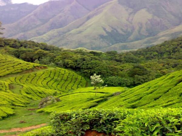 Kerala With Kumrakom (Honeymoon Special 2)